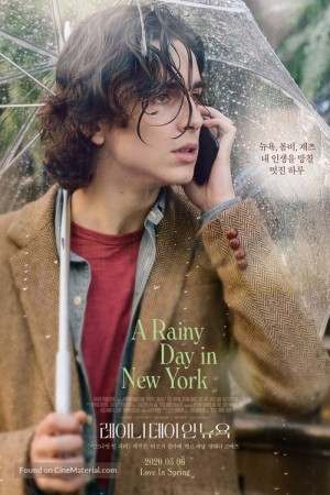 A Rainy Day in New York